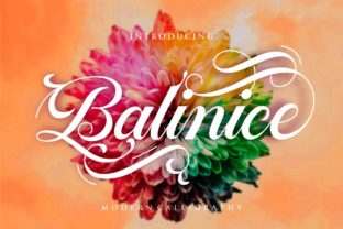 Balinice: Crafting Luxurious Brand Identity