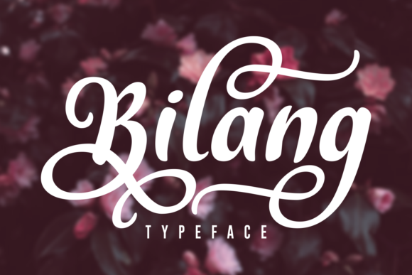 Bilang: Where Elegant Swashes Meet a Strong Identity
