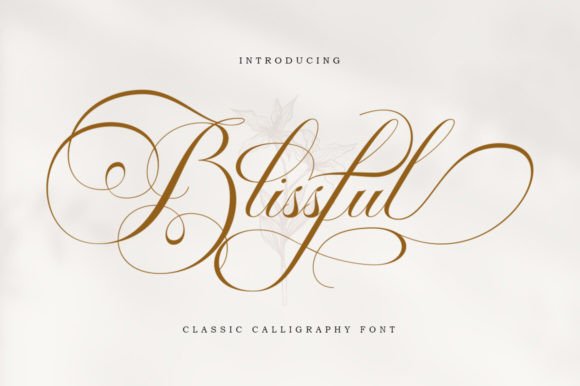 Blissful: Where Classic Copperplate Meets Modern Branding