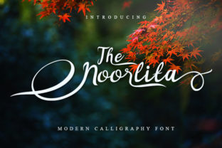 Noorlita: The Script Font That Brings a Luxurious Feel to Every Project