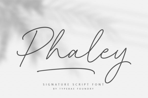 Phaley: The Handwritten Script Font for Elegant Branding